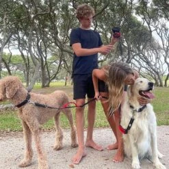 Black Rhino 6ft Dog Leash With Two Traffic Padded Comfort Handles For Safety Control Training - Purple -PawHut Sales Store GUEST b51f31cb 4e17 402c b989 6e96b2bfaaf2 1