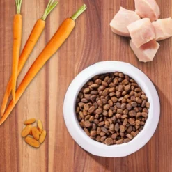 IAMS Proactive Health Chicken & Whole Grains Recipe Puppy Premium Dry Dog Food