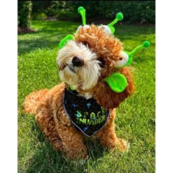 Midlee Alien Dog Headband Costume -PawHut Sales Store GUEST b93098f5 f0e5 43f2 afaa a9406801e482