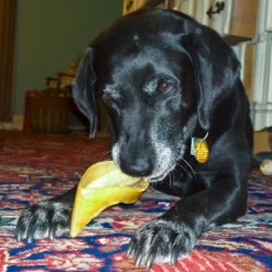 Pawstruck Natural Bulk Cow Hooves For Dogs - Made In The USA Bulk Dog Dental Treats & Dog Chews Beef Hoof, American Made 16 Pawstruck Natural Bulk Cow Hooves For Dogs - Made In The USA Bulk Dog Dental Treats & Dog Chews Beef Hoof, American Made -PawHut Sales Store GUEST b996692e 8e61 4dc8 9eb1 8528f2f70737