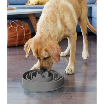 Outward Hound Fun Feeder Slo-Bowl For Dogs - L - Gray 1 Outward Hound Fun Feeder Slo-Bowl For Dogs - L - Gray