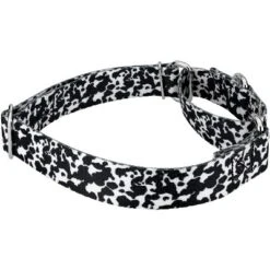 Country Brook Petz Dairy Cow Martingale Dog Collar -PawHut Sales Store GUEST baae2c29 1b69 47d1 9dca 62fd1a8fd922