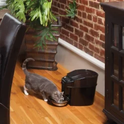 PetSafe Healthy Automated Pet Feeder For Cats And Dogs - Black 12 PetSafe Healthy Automated Pet Feeder For Cats And Dogs - Black -PawHut Sales Store GUEST bcd20a33 638a 4de0 a4d8 ee98c7d2be81