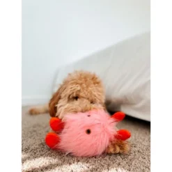 Midlee Love Bug Valentine's Day Dog Toy -PawHut Sales Store GUEST bf8caf66 c7e9 4c61 bf92 9571f020c9fe