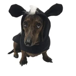 Midlee Skunk Dog Costume -PawHut Sales Store GUEST c11a3c1b e5c3 48bd a51c 9bae006feea6