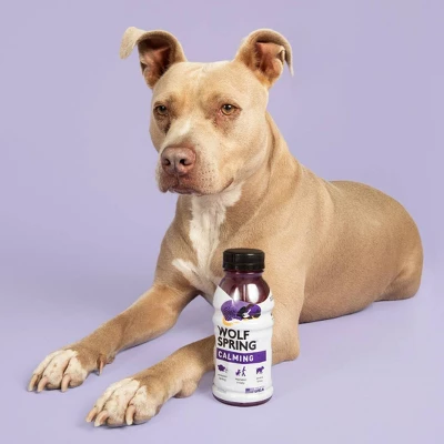 Wolf Spring Calming Wet Dog Food Topper Supplement With Coconut Water 3 Wolf Spring Calming Wet Dog Food Topper Supplement With Coconut Water - Image 3