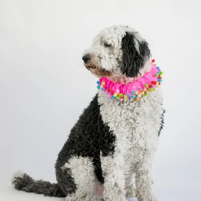 Midlee Pink Birthday Pom Pom Dog Collar 2 Midlee Pink Birthday Pom Pom Dog Collar - Image 2