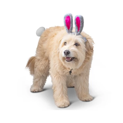Midlee Easter Bunny Gray & Pink Dog Rabbit Ears With Tail (Small) 4 Midlee Easter Bunny Gray & Pink Dog Rabbit Ears With Tail (Small) - Image 4
