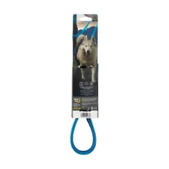 Nite Ize Nite Dog Rechargeable LED Dog Leash - Blue/Blue
