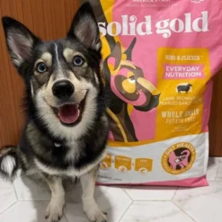 Solid Gold Hund-n-Flocken Everyday Nutrition All Ages Dry Dog Food With Lamb Flavor - 12lbs -PawHut Sales Store GUEST c5813301 d57f 4021 bcfc 85b44c5ab236