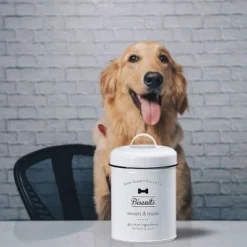 Amici Pet Bone Appetit Biscuits Pet Food Canister, 64 Oz. , White & Black