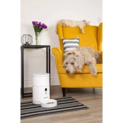 Instachew Purechew Smart Pet Feeder With HD Camera 10 Instachew Purechew Smart Pet Feeder With HD Camera -PawHut Sales Store GUEST c80027f9 6d31 4150 9b1f 93859ebf68c4