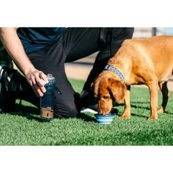 Dexas SnackDuo With Travel Cup - Blue 9 Dexas SnackDuo With Travel Cup - Blue -PawHut Sales Store GUEST c9630fc3 e898 4ee8 ade6 721579b37e17