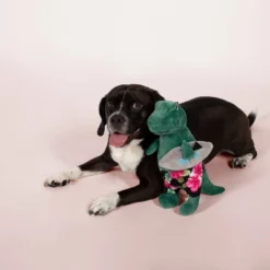 PetShop By Fringe Studio Surfer Bro Rex Dog Toy