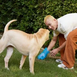 Native Pet Pumpkin Supplement Powder For Dogs - 8oz -PawHut Sales Store GUEST c98f7049 bd7b 4f5d 9089 442d9ec0670b