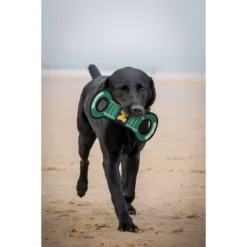 NCAA Michigan Wolverines Field Dog Toy