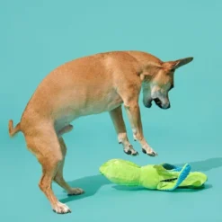 BARK Billy The Squid Dog Toy - Green -PawHut Sales Store GUEST caee6d7f 89ed 4a5f 8d39 f0bbf4550879