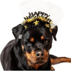 Midlee Happy New Year Dog Headband 9 Midlee Happy New Year Dog Headband -PawHut Sales Store GUEST cbd88c4e 5a2c 4e05 8e66 3e01732c8b53