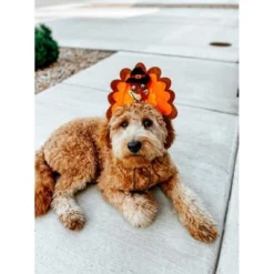 Midlee Turkey Dog Headband 7 Midlee Turkey Dog Headband -PawHut Sales Store GUEST cd9688ea e6ff 43be aaed 1a0082f0a16c