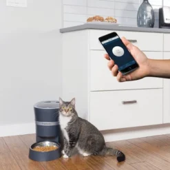 PetSafe Smart Feed Automatic Dog And Cat Feeder - Blue -PawHut Sales Store GUEST ceba22f6 8f8a 4124 a264 4ab722dabe71