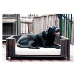 Iconic Pet Beds For Dogs And Cats - Rattan Rectangular Sofa 20 Iconic Pet Beds For Dogs And Cats - Rattan Rectangular Sofa -PawHut Sales Store GUEST cfae30c0 8c14 4f1f 8c5c 9fbea090aa69 1