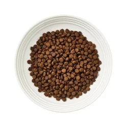 Reveal Pet Food Natural Complete And Balanced Grain Free Dry Cat Food With Fish Recipe Bag - 3lbs