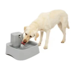 PetSafe Drinkwell Pet Fountain - Gray -PawHut Sales Store GUEST d14480b4 4e11 460b 8722 9df6792c6bd9