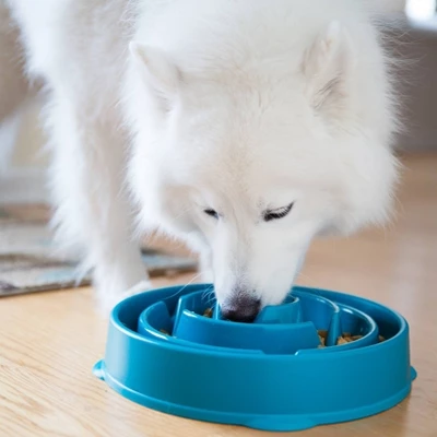Outward Hound Fun Feeder Slo-Bowl For Dogs - L - Turqoise 2 Outward Hound Fun Feeder Slo-Bowl For Dogs - L - Turqoise - Image 2