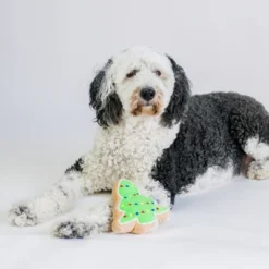 Christmas Sugar Cookie Plush Dog Toy- Christmas Tree… -PawHut Sales Store GUEST d2190428 de74 45c3 8905 1c40c2946f26
