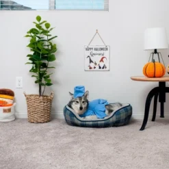 Midlee Scrubs Dog Costume - (XXX-Large) 8 Midlee Scrubs Dog Costume - (XXX-Large) -PawHut Sales Store GUEST d343388b 738b 4b15 8920 786fe268b005