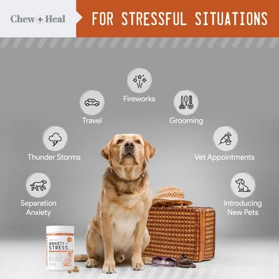 Chew + Heal Calming Anxiety Treats, Dog Supplement, Stress Relief For Travel, Storms & Fireworks - 60 Delicious Chews 1 Chew + Heal Calming Anxiety Treats, Dog Supplement, Stress Relief For Travel, Storms & Fireworks - 60 Delicious Chews