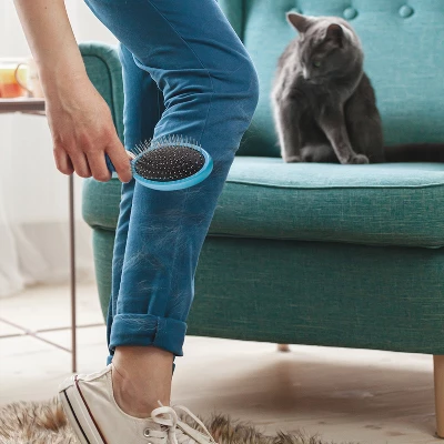 BOSHEL Dog Hair Brush & Pet Hair Remover – 2-In-1 Dog Grooming Brush With Safety Rounded Pins + Dog Hair Remover, Cleans The Hairy Mass 3 BOSHEL Dog Hair Brush & Pet Hair Remover – 2-In-1 Dog Grooming Brush With Safety Rounded Pins + Dog Hair Remover, Cleans The Hairy Mass - Image 3