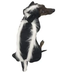 Midlee Skunk Dog Costume -PawHut Sales Store GUEST d660ab83 3afc 4d49 b118 26440b049f97
