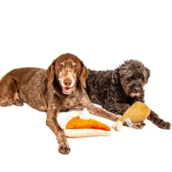 Midlee Thanksgiving Meal Dog Toy Set - Pumpkin Pie & Turkey Leg -PawHut Sales Store GUEST d748879a 0be0 41f8 8b71 1cce1bdffd47