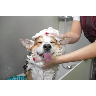 Groomer Essentials Dog Grooming Muzzle Size 4 2 Groomer Essentials Dog Grooming Muzzle Size 4 - Image 2