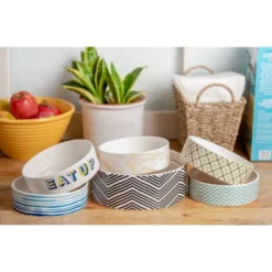 Park Life Designs Daze Cup Dog Bowl