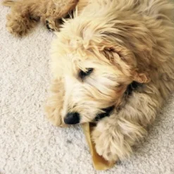 Pawstruck Natural Bulk Cow Hooves For Dogs - Made In The USA Bulk Dog Dental Treats & Dog Chews Beef Hoof, American Made 15 Pawstruck Natural Bulk Cow Hooves For Dogs - Made In The USA Bulk Dog Dental Treats & Dog Chews Beef Hoof, American Made -PawHut Sales Store GUEST d8c569f1 470e 4e47 978b ebc6338f7e96