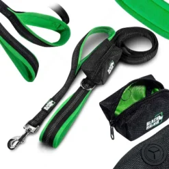 Black Rhino Dog Leash 6ft Long Leash W/ Padded Comfort Handles & Reflective Lead - Green