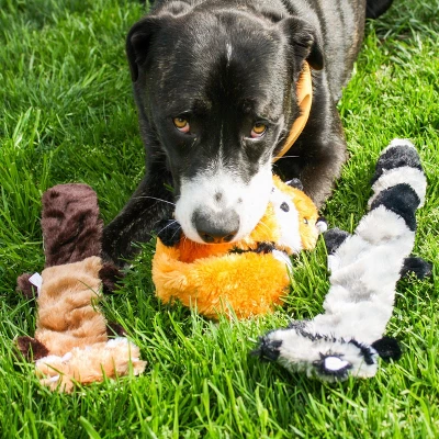 ZippyPaws Skinny Peltz Dog Toy - L - 3pk 1 ZippyPaws Skinny Peltz Dog Toy - L - 3pk