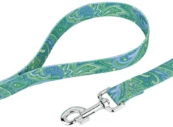 Country Brook Petz® 3/4 Inch Green Paisley Dog Leash - 6 Foot -PawHut Sales Store GUEST db835964 3c83 4fe0 be7f 91b9e9fa91bf