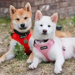 Voyager Step-In Lock Adjustable Dog & Cat Harness For All Breeds, Breathable Mesh -PawHut Sales Store GUEST dc4cc8e6 9cc2 4f00 ba09 925c8cfb36b5