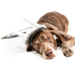 Midlee Dinosaur Dog Headband & Tail Costume -PawHut Sales Store GUEST de40377a 0e3b 43d4 bae7 8418ccab21f7