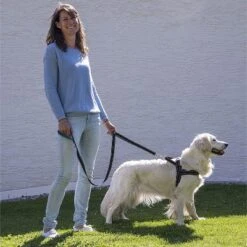 Happilax Norwegian Design Adjustable No Pull Dog Harness, Small, Black 9 Happilax Norwegian Design Adjustable No Pull Dog Harness, Small, Black -PawHut Sales Store GUEST ded0fa7d 2cae 46fe 9b09 30caed6fab09