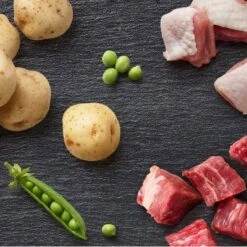 Cesar Home Delights, Vegetable, Chicken & Beef Flavor Adult Wet Dog Food - 2.64lbs/12ct