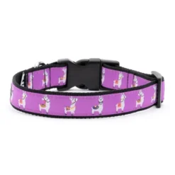 The Worthy Dog Llamas Collar 7 The Worthy Dog Llamas Collar -PawHut Sales Store GUEST df8b9201 4729 462d ab77 b6b0753e54e8