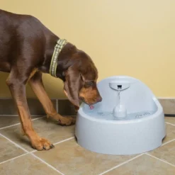 PetSafe Plumbed Outdoor Fountain -PawHut Sales Store GUEST df8f9b49 eb5a 4c8e aed5 302d2dc6489a