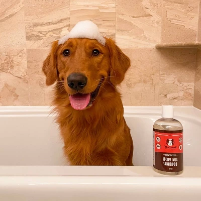 Natural Dog Company Itchy Dog Shampoo - 12oz 3 Natural Dog Company Itchy Dog Shampoo - 12oz - Image 3