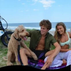 Black Rhino 6ft Dog Leash With Two Traffic Padded Comfort Handles For Safety Control Training - Purple