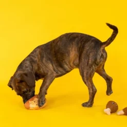 PetShop By Fringe Studio Waffle And Chicken Dog Toys - 3pk -PawHut Sales Store GUEST e0829a72 43d2 44d8 9cea 37e63e603340