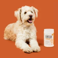 Chew + Heal Omega Skin + Coat, Dog Supplement, Salmon Oil With Essential Fatty Acids & Vitamins - 360 Delicious Chews 13 Chew + Heal Omega Skin + Coat, Dog Supplement, Salmon Oil With Essential Fatty Acids & Vitamins - 360 Delicious Chews -PawHut Sales Store GUEST e16f01cc 7282 4a3e b32c ed52a5a5f128 1